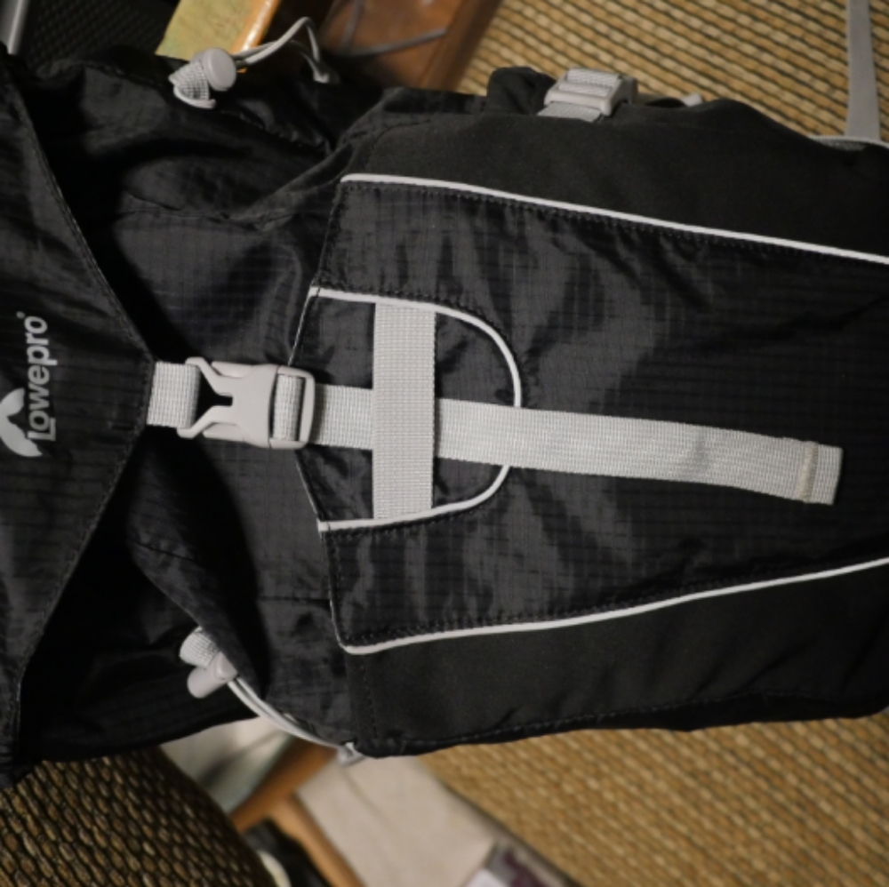 Lowepro Camera Sling Bag